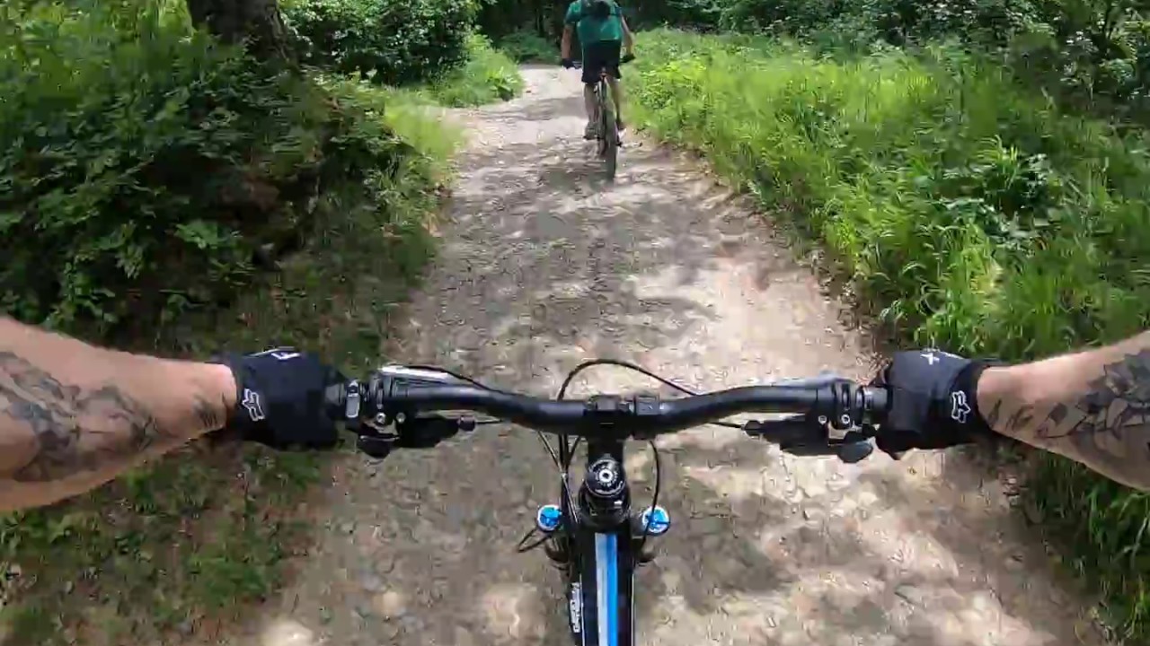 MTBenduro/Wurzel-Trail (Hameau)2019 Wien