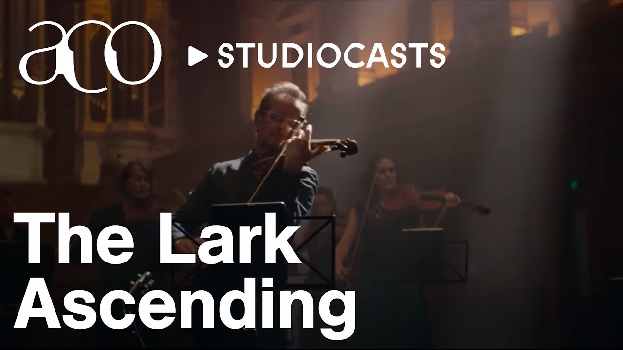 The Lark Ascending | Ralph Vaughan Williams | ACO StudioCasts | Australian Chamber Orchestra