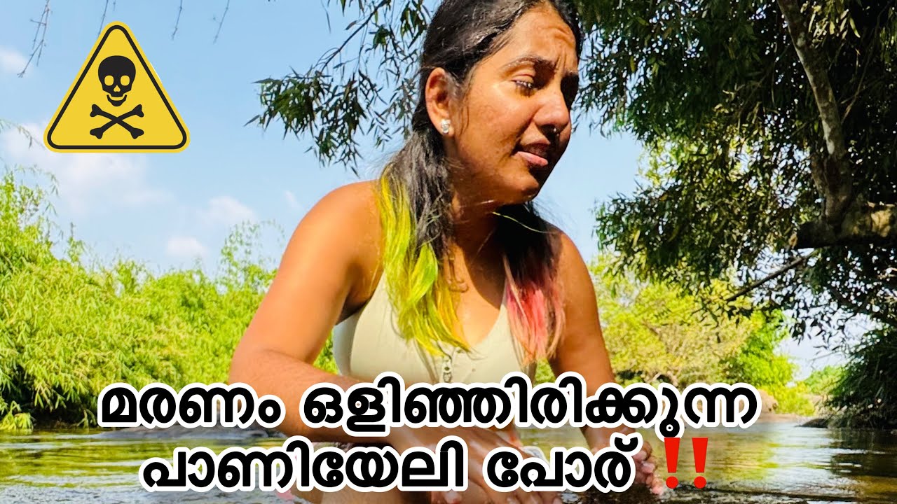 പാണിയേലി പോരിൽ വരുന്നവർ സൂക്ഷിക്കുക!/Paniyeli poru /ആനയേയും  കടുവയേയും ഇവിടെ കണ്ടവരുണ്ടോ?