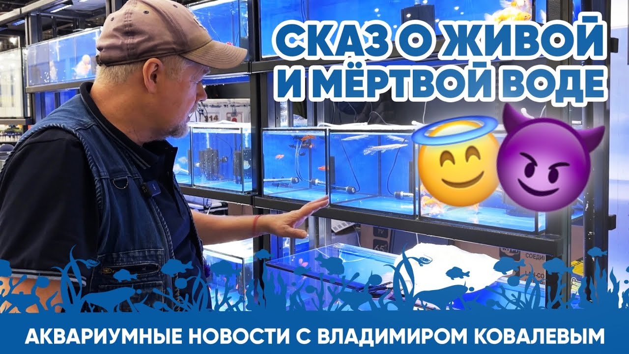 Аквариумные новости с Владимиром Ковалевым (12.04.2024). Сказ о живой и мёртвой воде 👼 😈