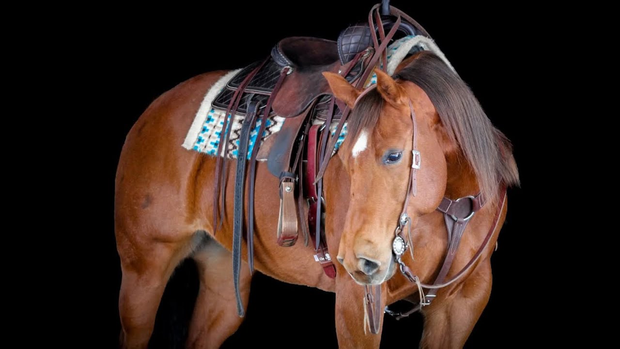 Conchos Diamonds