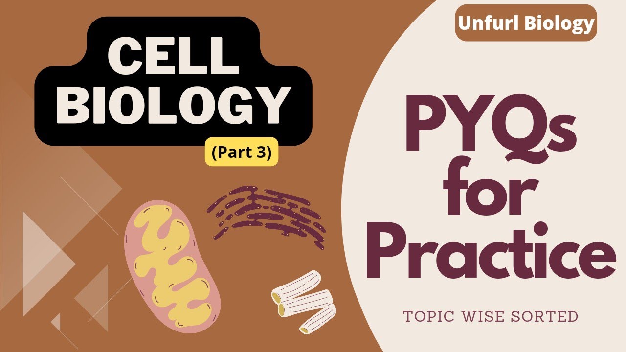 Cell Biology PYQs #mcq #mscentrances #pgtbiology #tgtbiology #neet #biologymcqs #cellbio #cellbiomcq