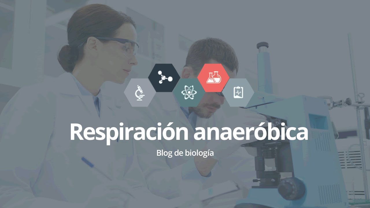 Respiración anaeróbica