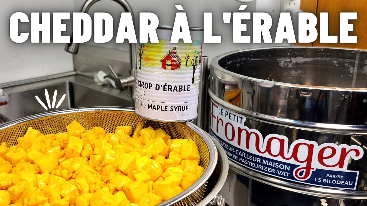 Fromage CHEDDAR maison au SIROP D'&Eacute;RABLE - Test du Petit Fromager de LS Bilodeau