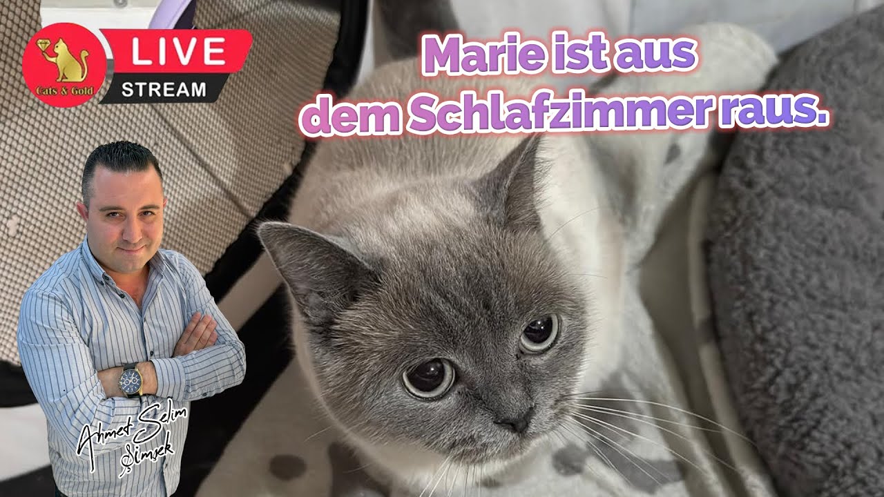 Marie ist aus dem Schlafzimmer raus.