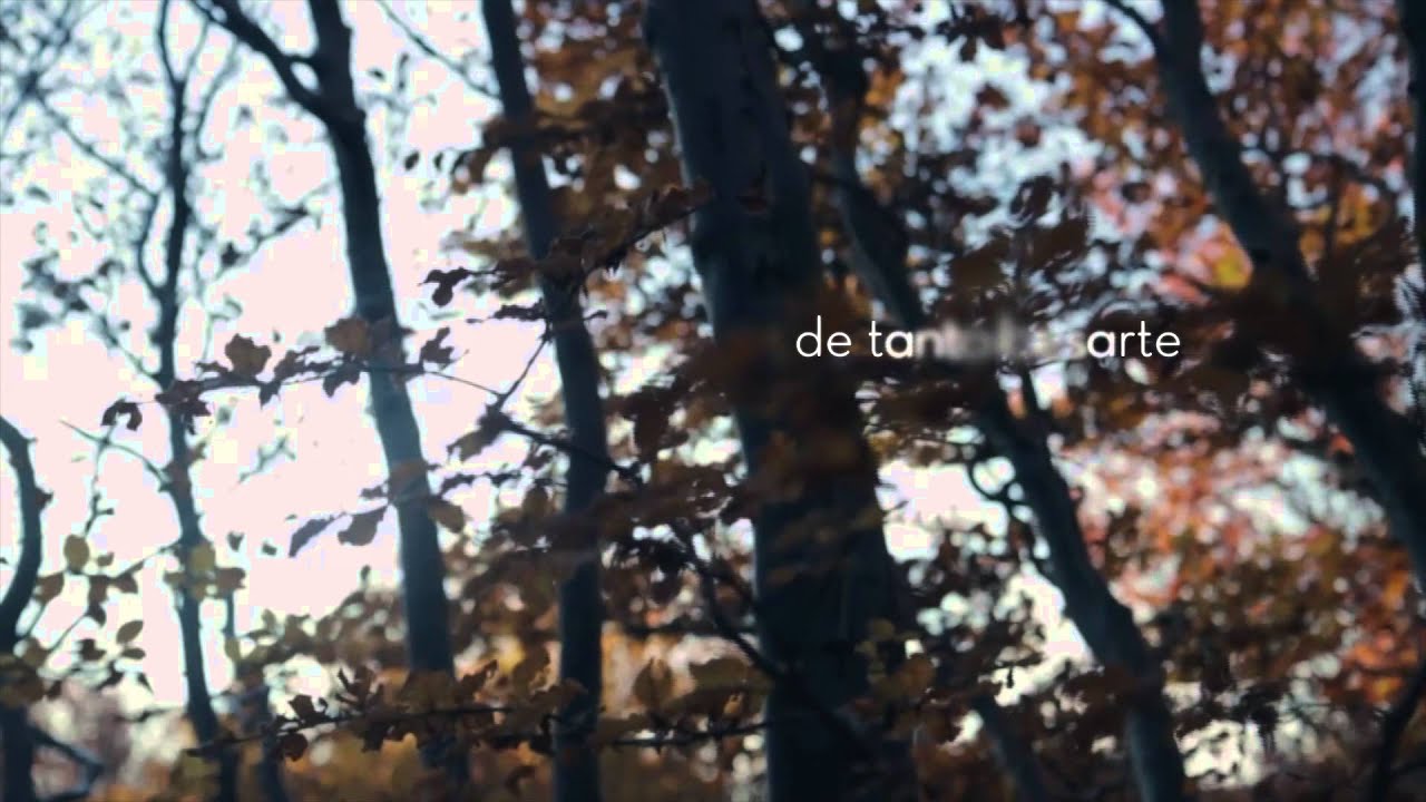 Ana Torroja - Disculpa (Lyric Video)