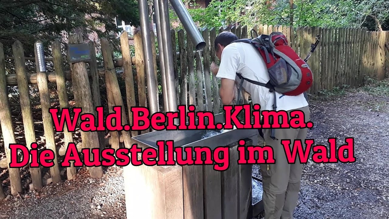 Der Wald Klima Berlin Pfad im Grunewald