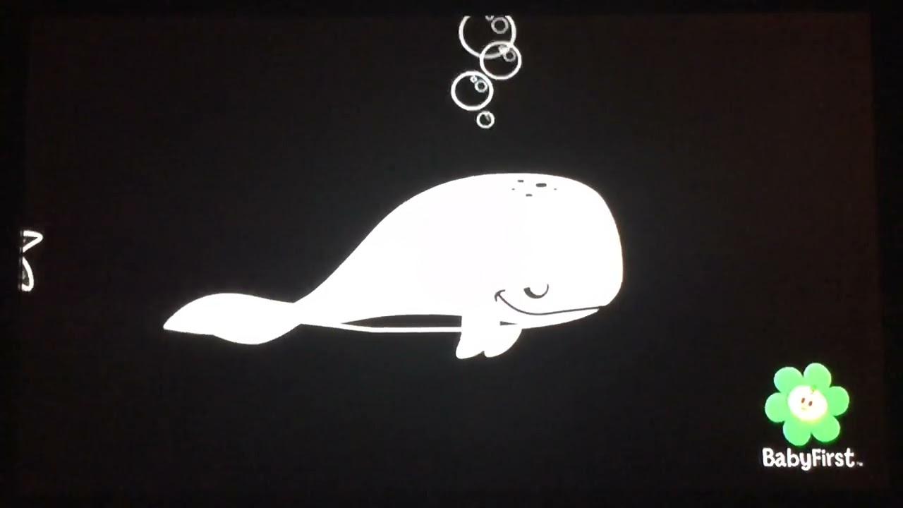 Two Tone Motion - Whale