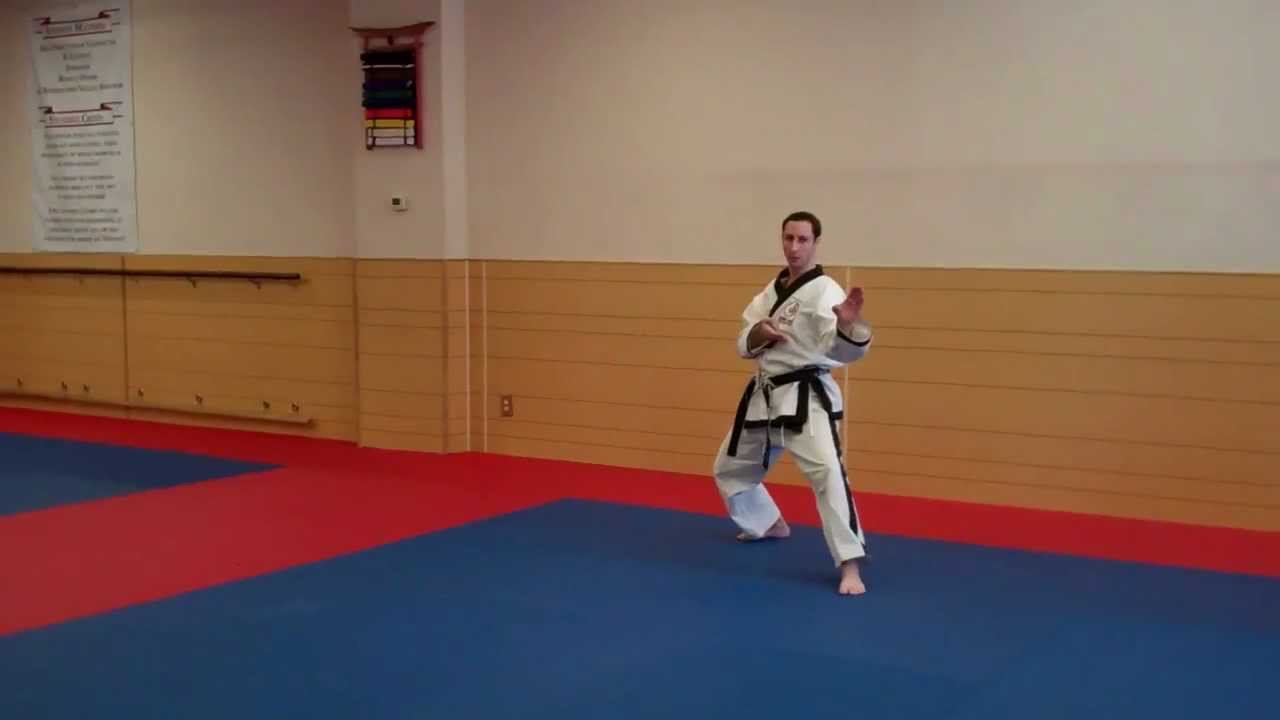 Bassai Dai - Warren Levi Karate