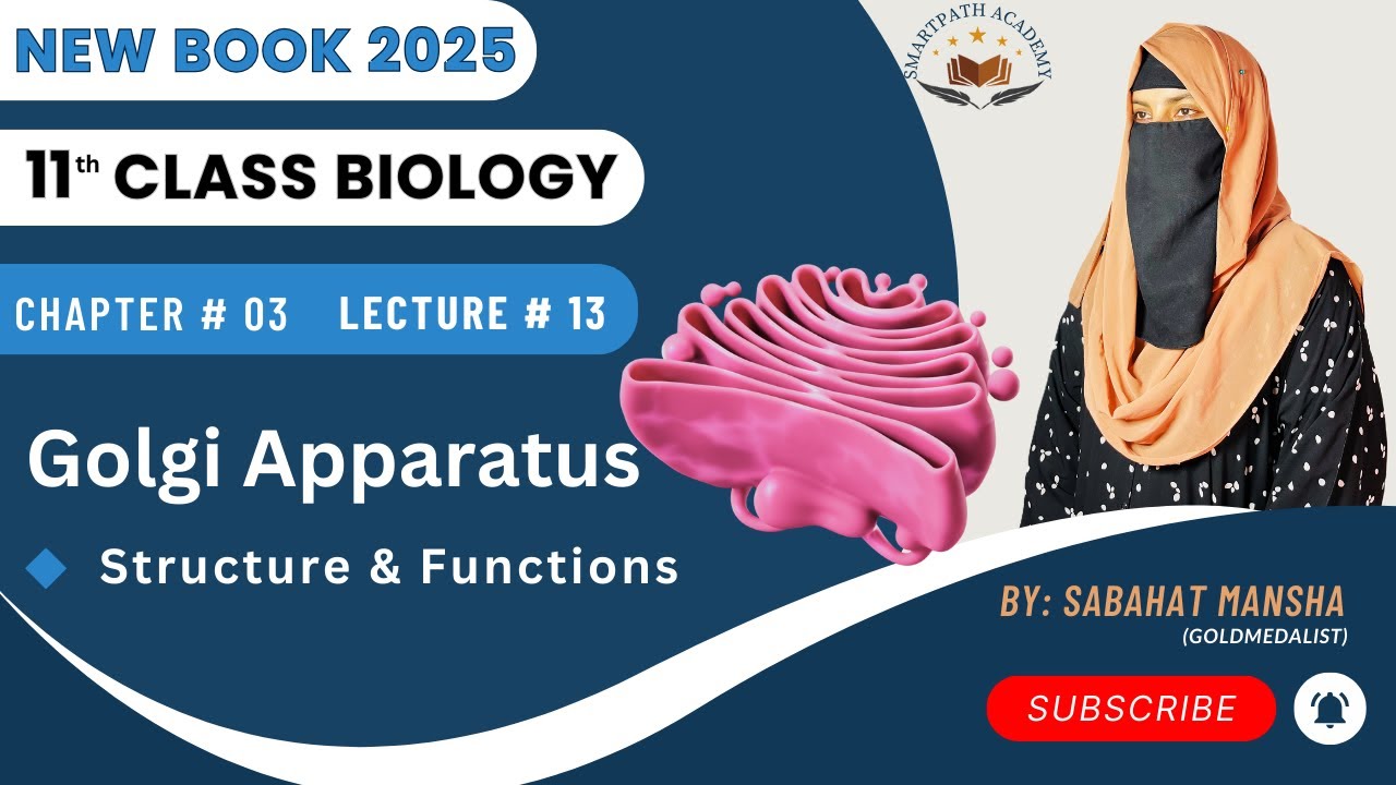 Golgi Complex (Golgi Apparatus) – Structure, Cisternae & Functions | Class 11 Biology Ch 3 Lec 13