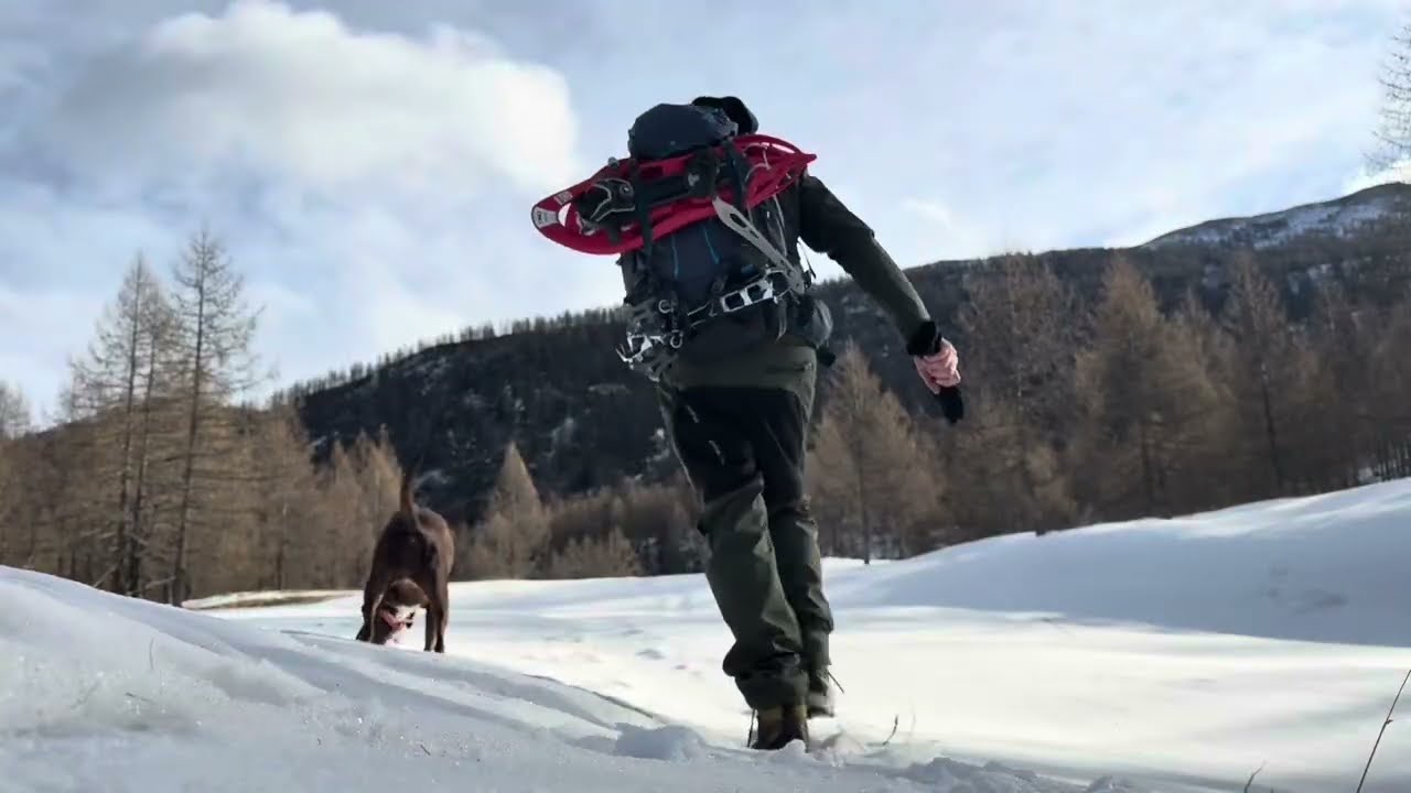 (TO) Colletta Sellar - Val Germanasca - Percorso invernale 2025-01 🥾1🐕❄️