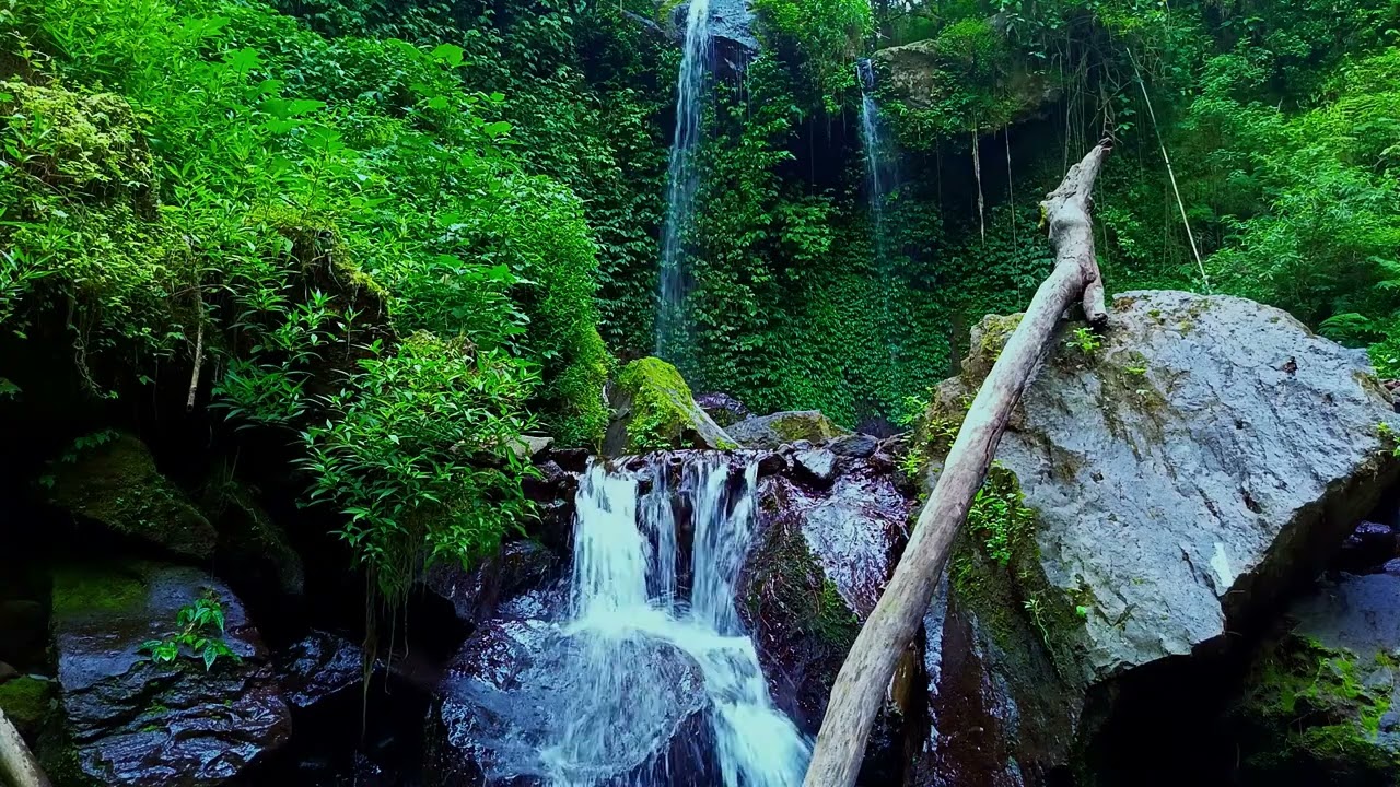 Tranquil Water River Ambiance - Rest with Nature's Vibe | sleep - relax - enjoy life - ASMR