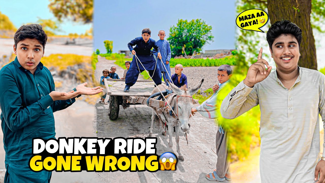 Mujhe Laga Donkey Ride Mazak Hai… Lekin Ye Reality Thi 😭🤣