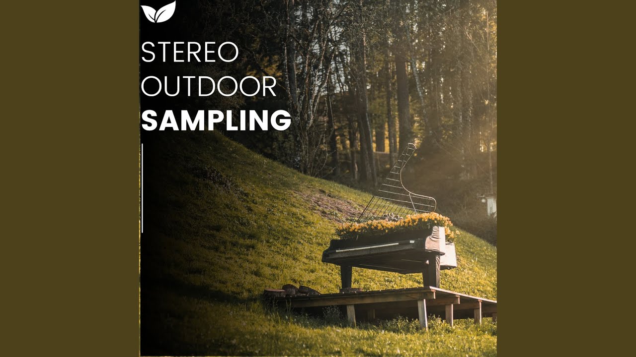 Wide Stereo Soundscapes