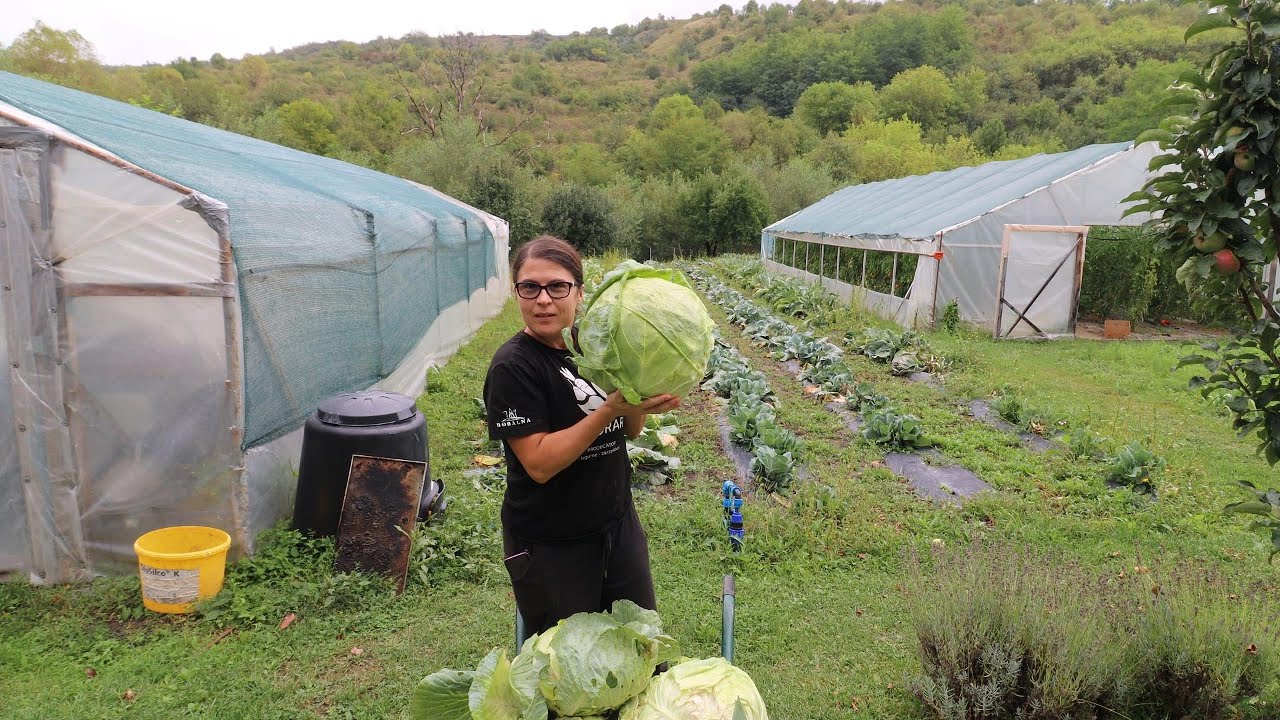 Mi-am împlinit un vis după 30  de ani ✨