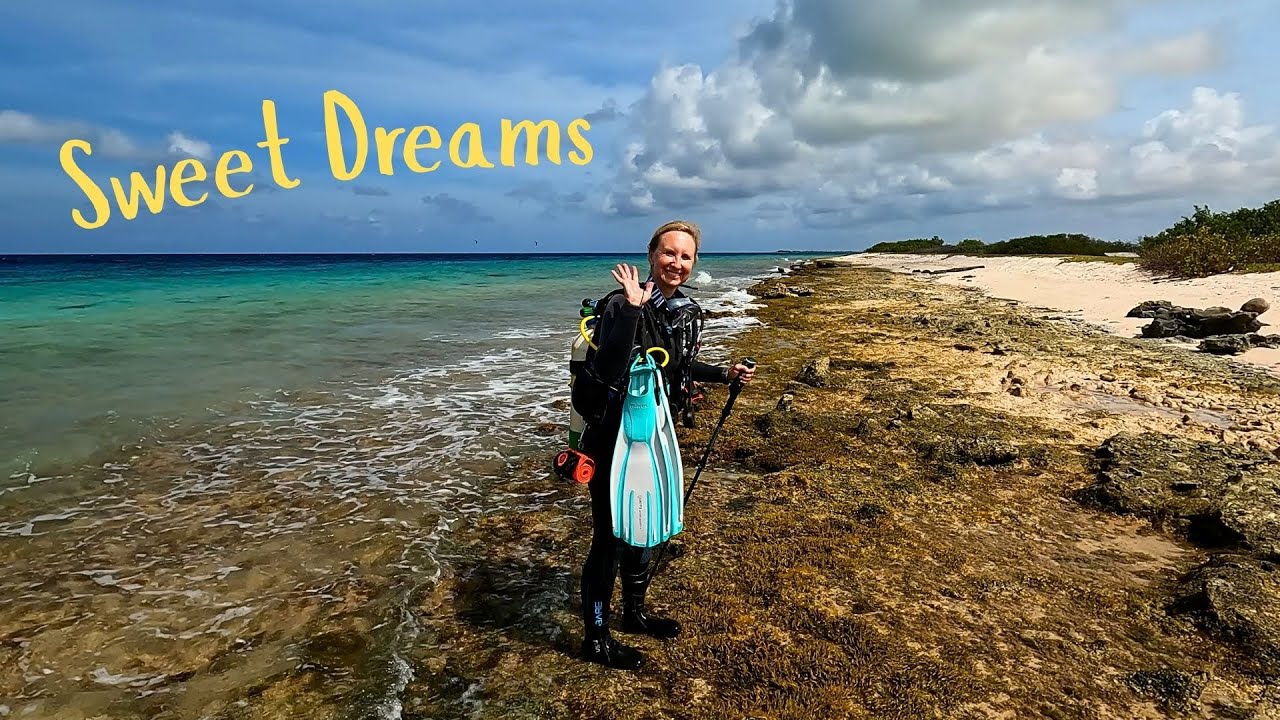 Советы и рекомендации по дайвингу с берега на острове Бонейр — Sweet Dreams