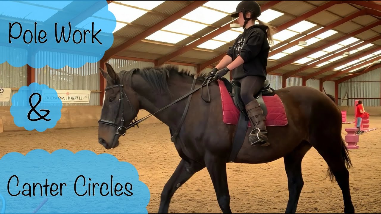 Pole Work & Canter Circles on Percy + Elsa | High Cross Equestrian Centre
