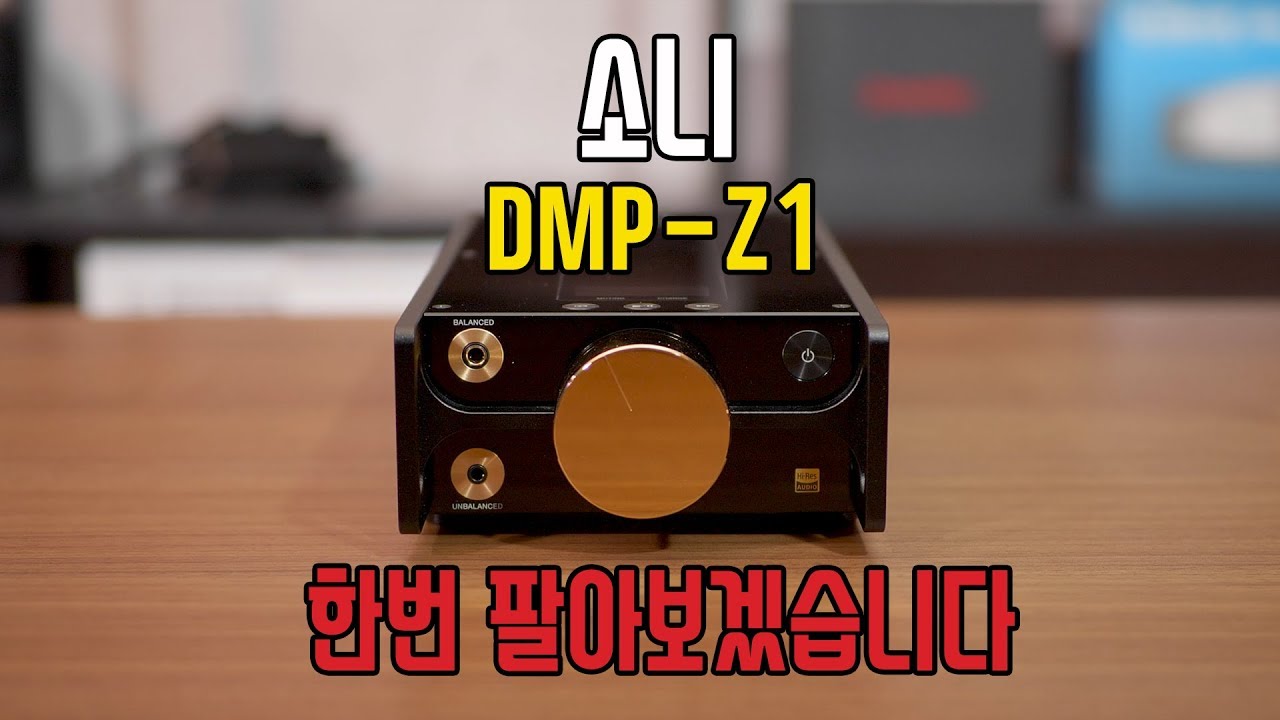 '소니 DMP-Z1, 한번 팔아보겠습니다.'