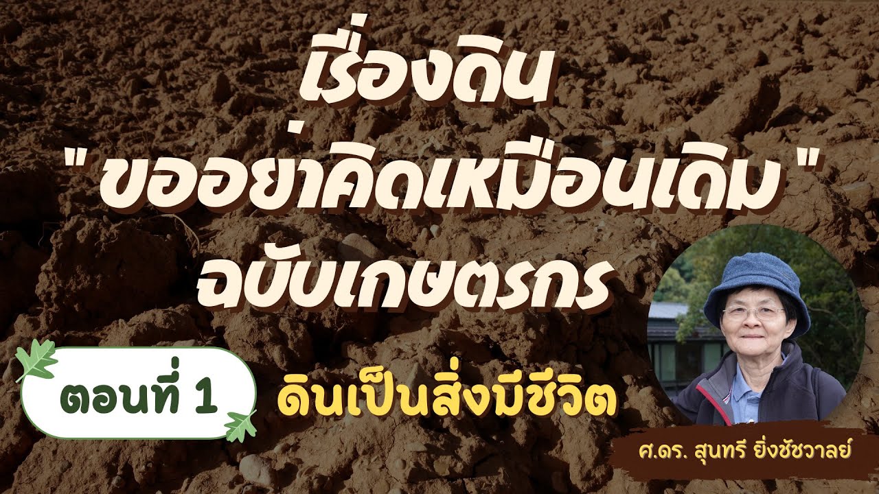 เรื่องดิน 
