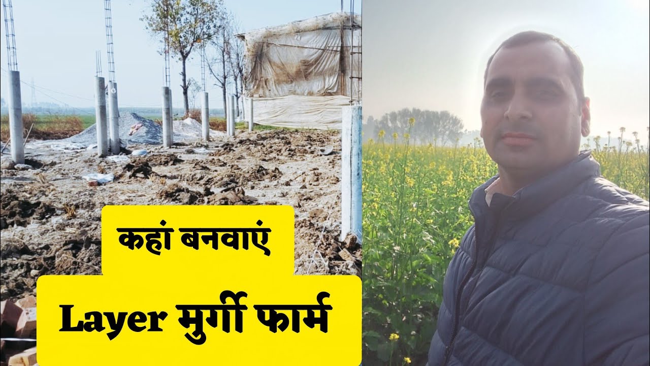 मुर्गी फार्म कैसी जगह पर बनवाना चाहिए #पोल्ट्री व्यवसाय#अंडा farming #लेयर मुर्गी पालन 