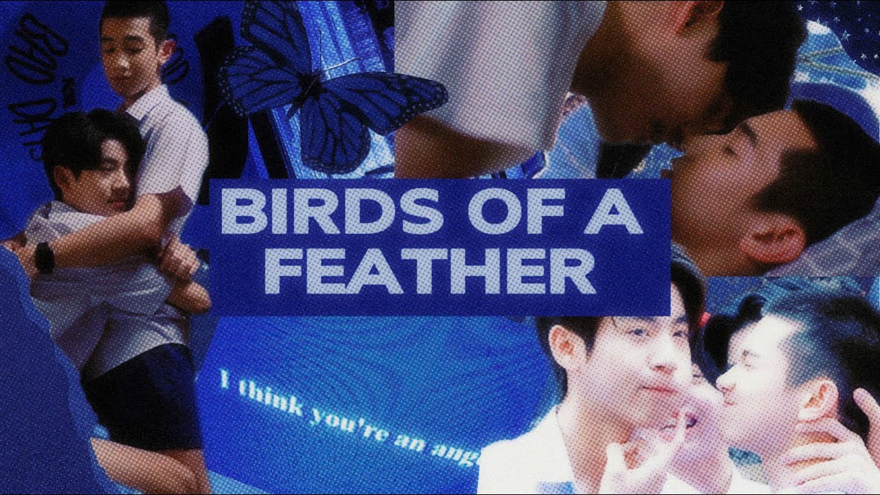 Pun x Noh || BIRDS OF A FEATHER - Billie Eilish || LoveSick 2024 [FMV] || Don't wanna say goodbye...