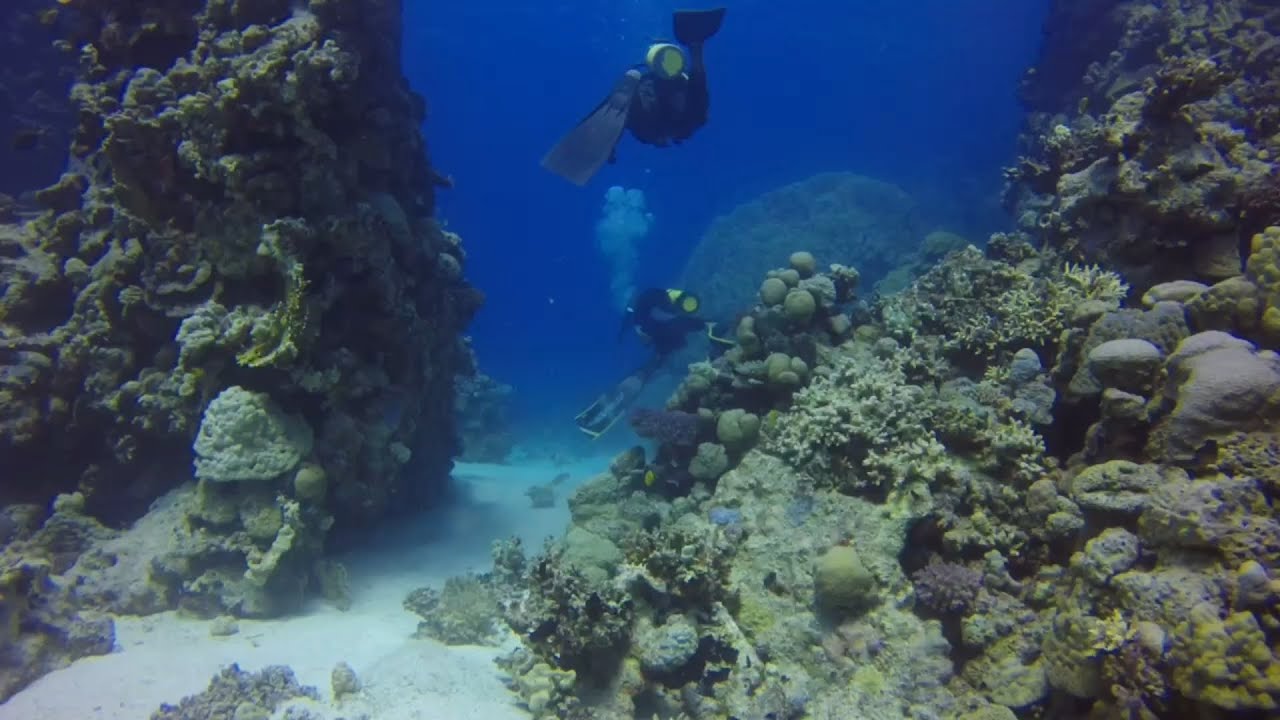Amazing & Beautiful Reef In Yanbu KSA//Scuba Diving Vlog