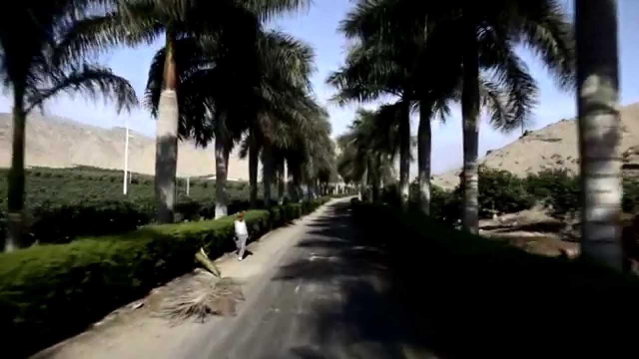 La Calera: Los huevos del Per&uacute;