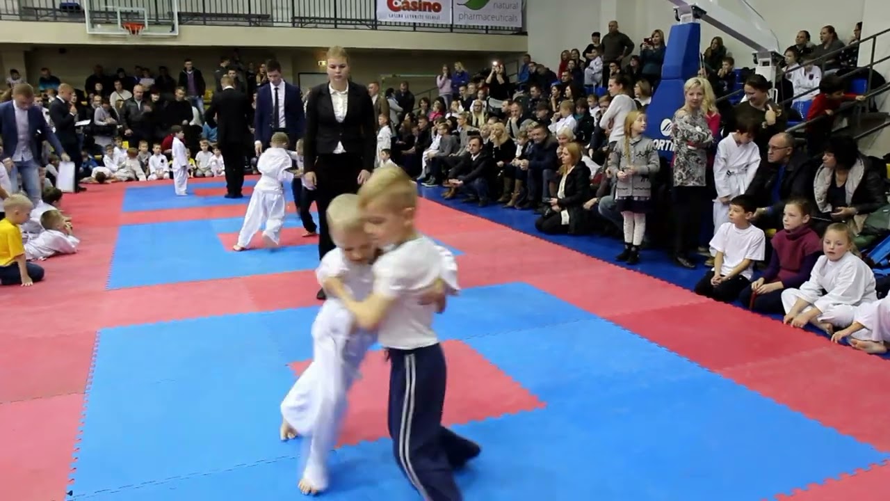 KARATE VARZYBOS MAZEIKIUOSE 2015 11 22