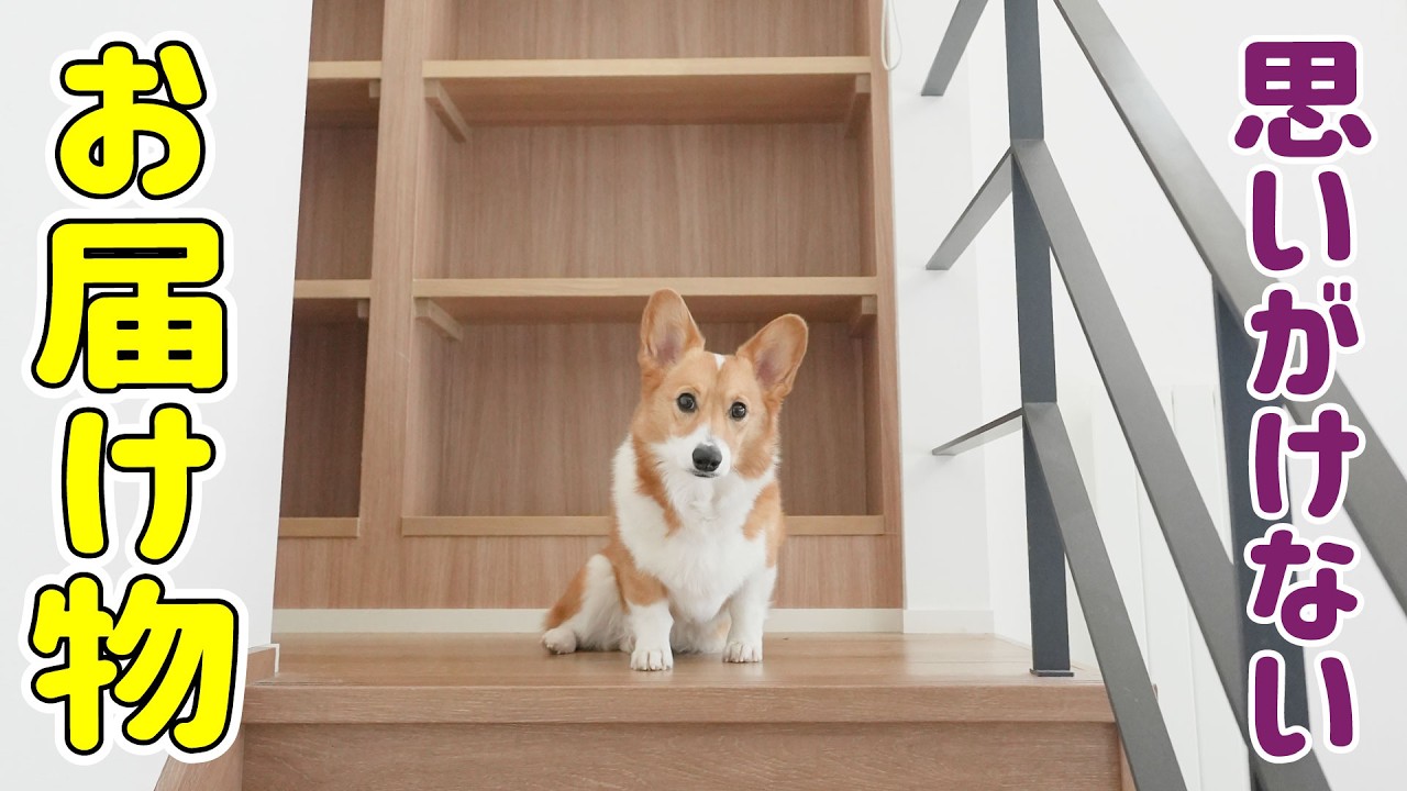 思いがけないお届け物と、少しずつ整えていく我が家