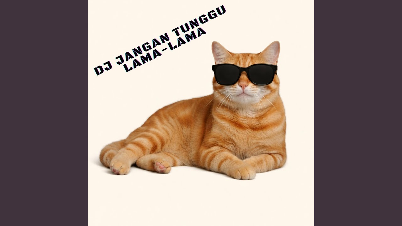 DJ Jangan Tunggu Lama-Lama
