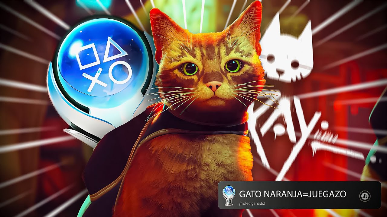 EL PLATINO de STRAY ME HIZO MAULLAR