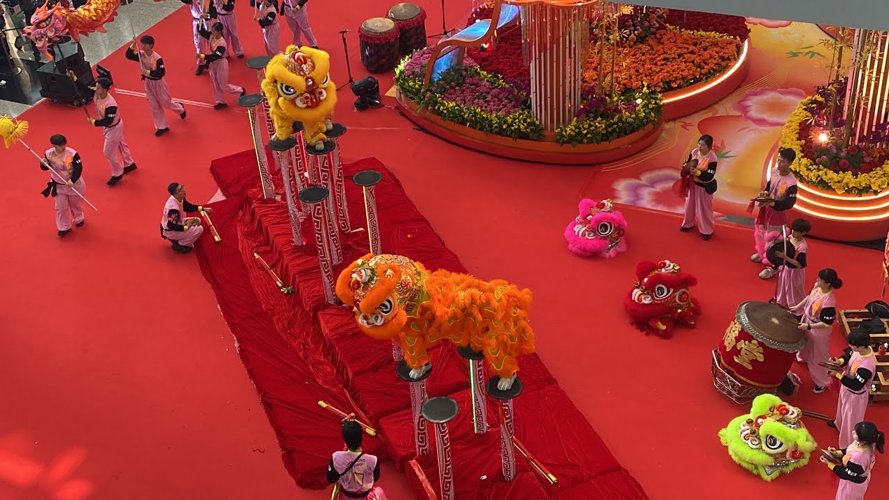香港机场新年舞龙舞狮表演 hongkong airport lion dance 