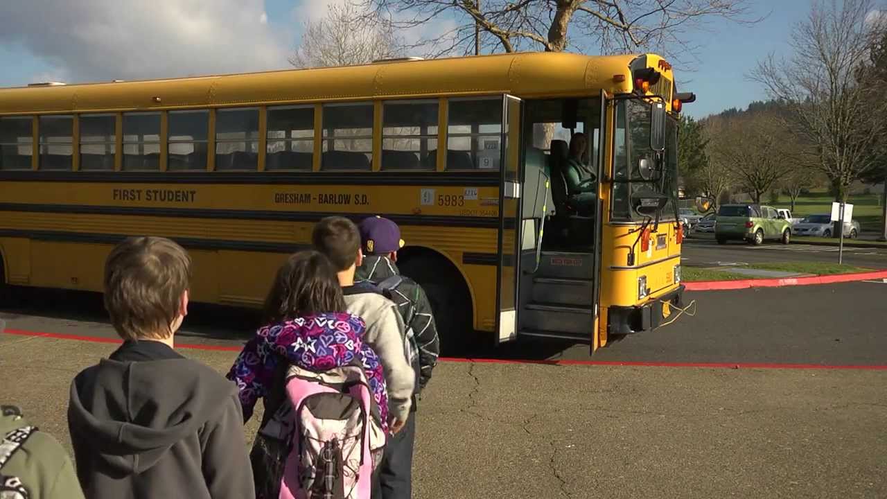 Hollydale Bus