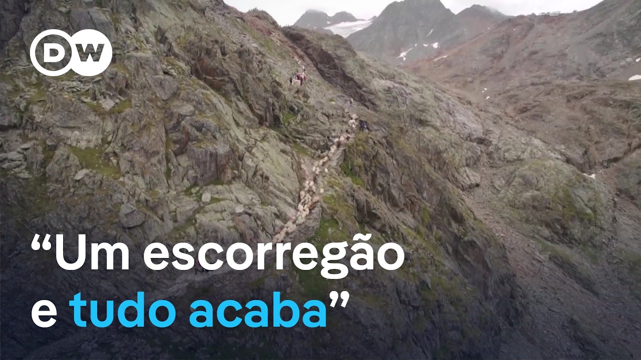 Os pastores que há milênios atravessam as geleiras dos Alpes | Documentário