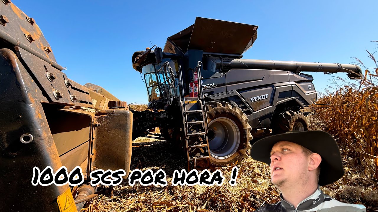 Ep 413 Finalizemo o primeiro talhão da safra de milho 🌽 2025