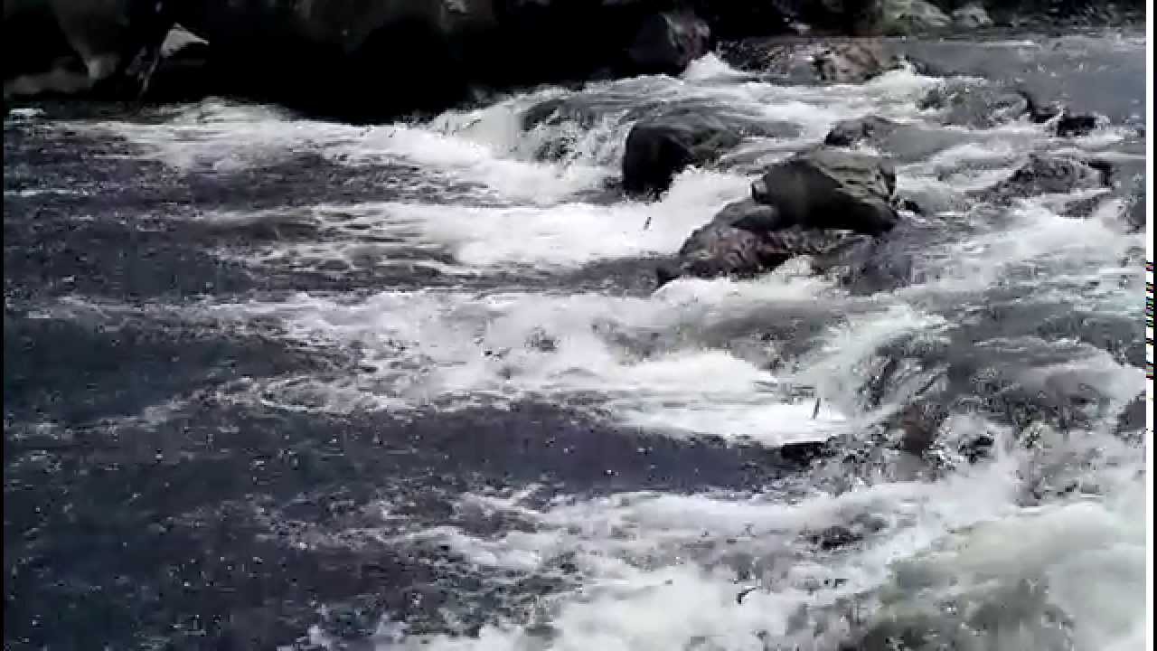 er&ccedil;iş balık bendi