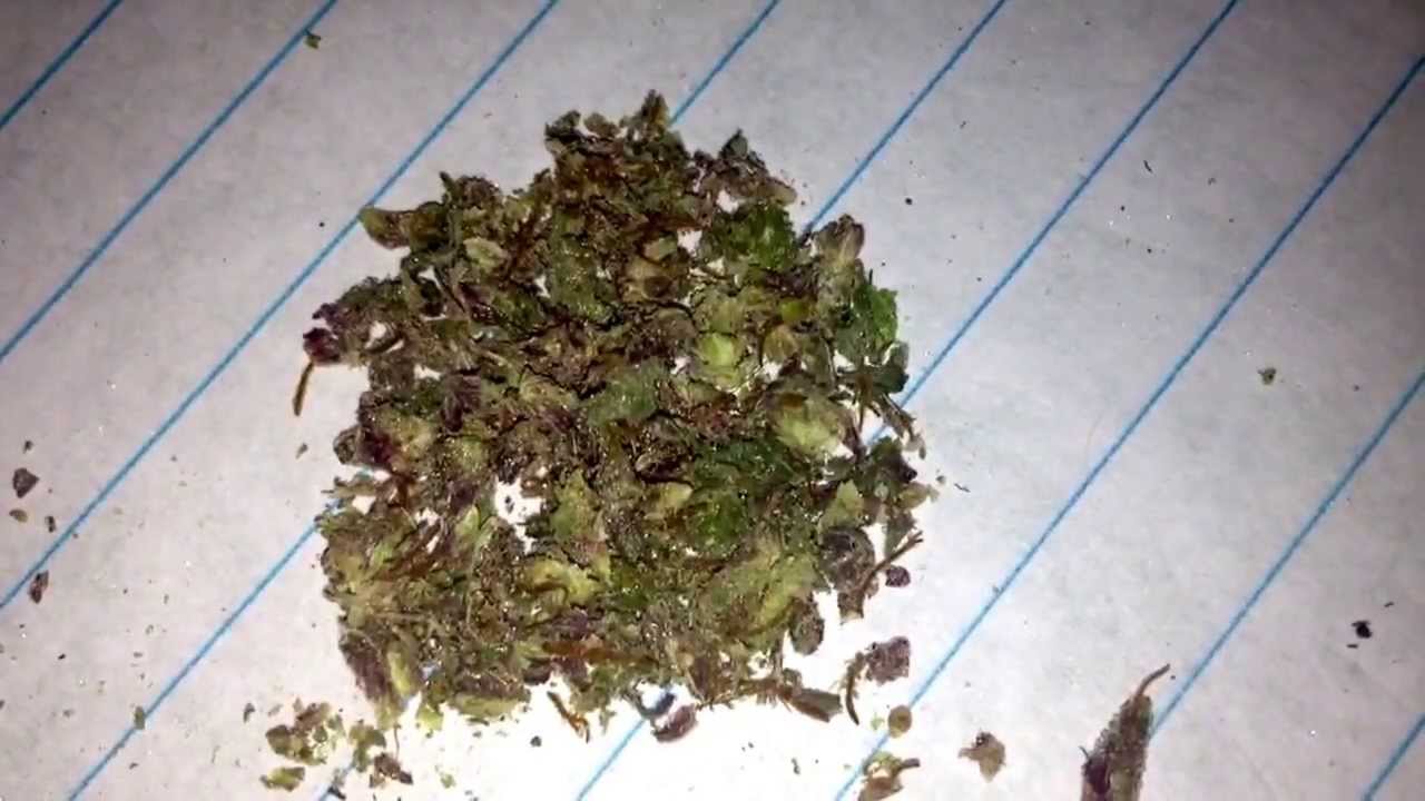 Purple Kush X Space princess Bong Hit