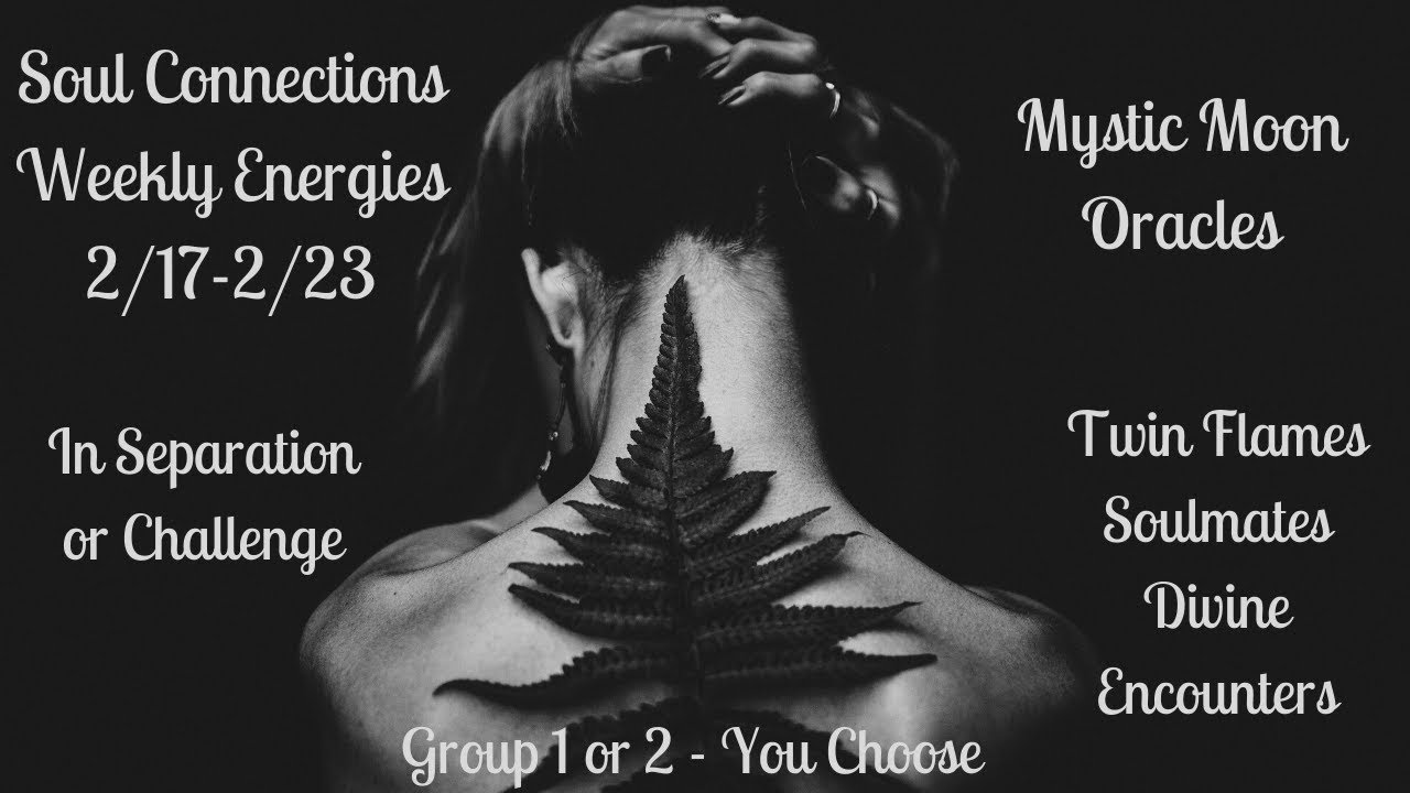 Soul Connections Reading - Pick your Group - Twin Flame/Soulmate/Divine Love - Timeless Messages