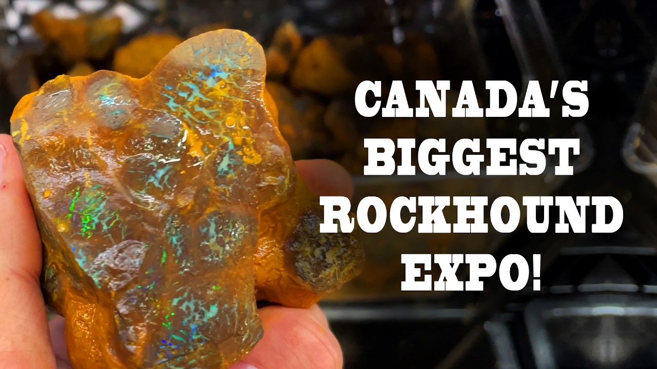 Best place to buy ROCKS + GEMS in CANADA! Rockhound Gemboree!
