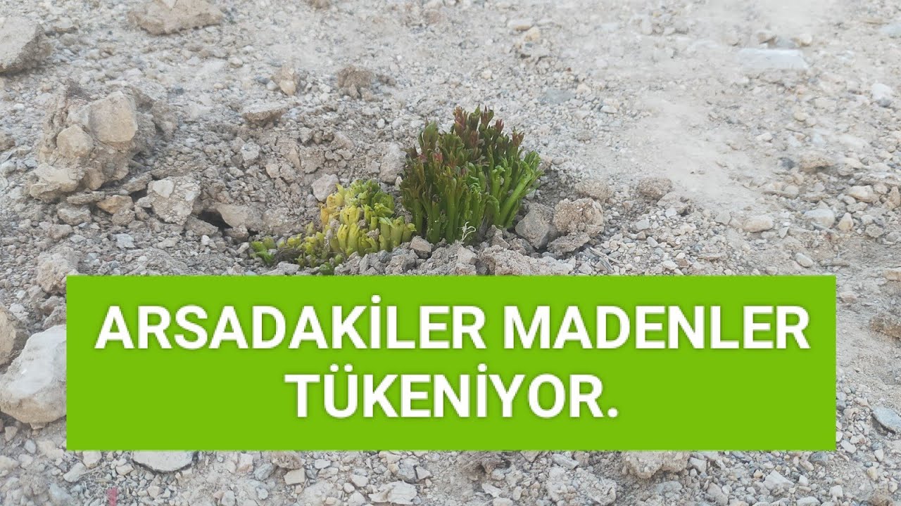 HURDA TOPLAMA SONA GELDİK