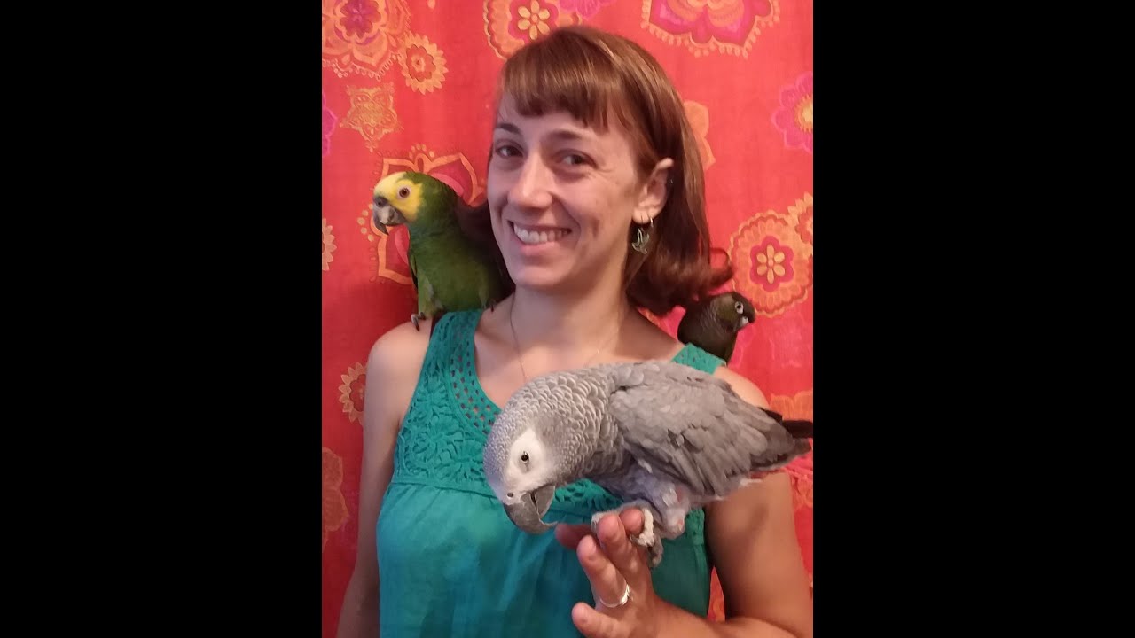 COVID-19 and Pet Birds