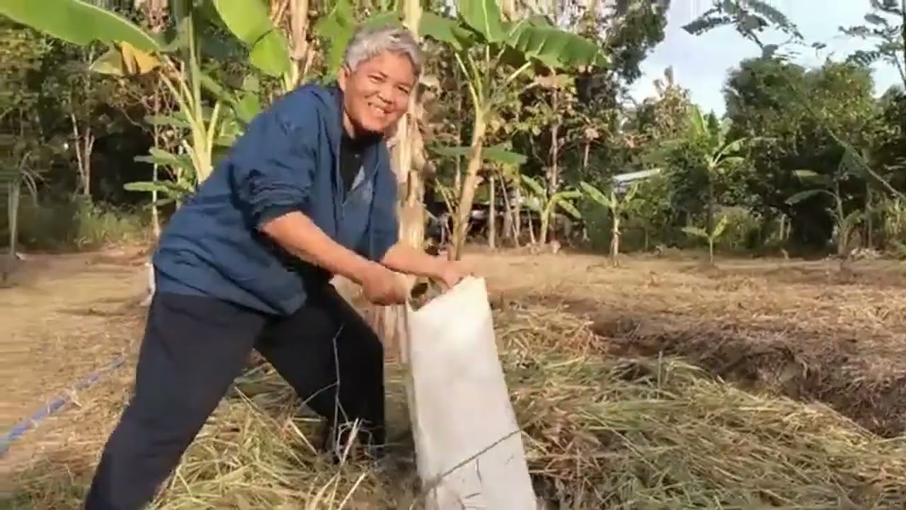 โคกหลุมพอเพียงลอยฟ้า โดย ดร.ใจเพชร กล้าจน (หมอเขียว)
