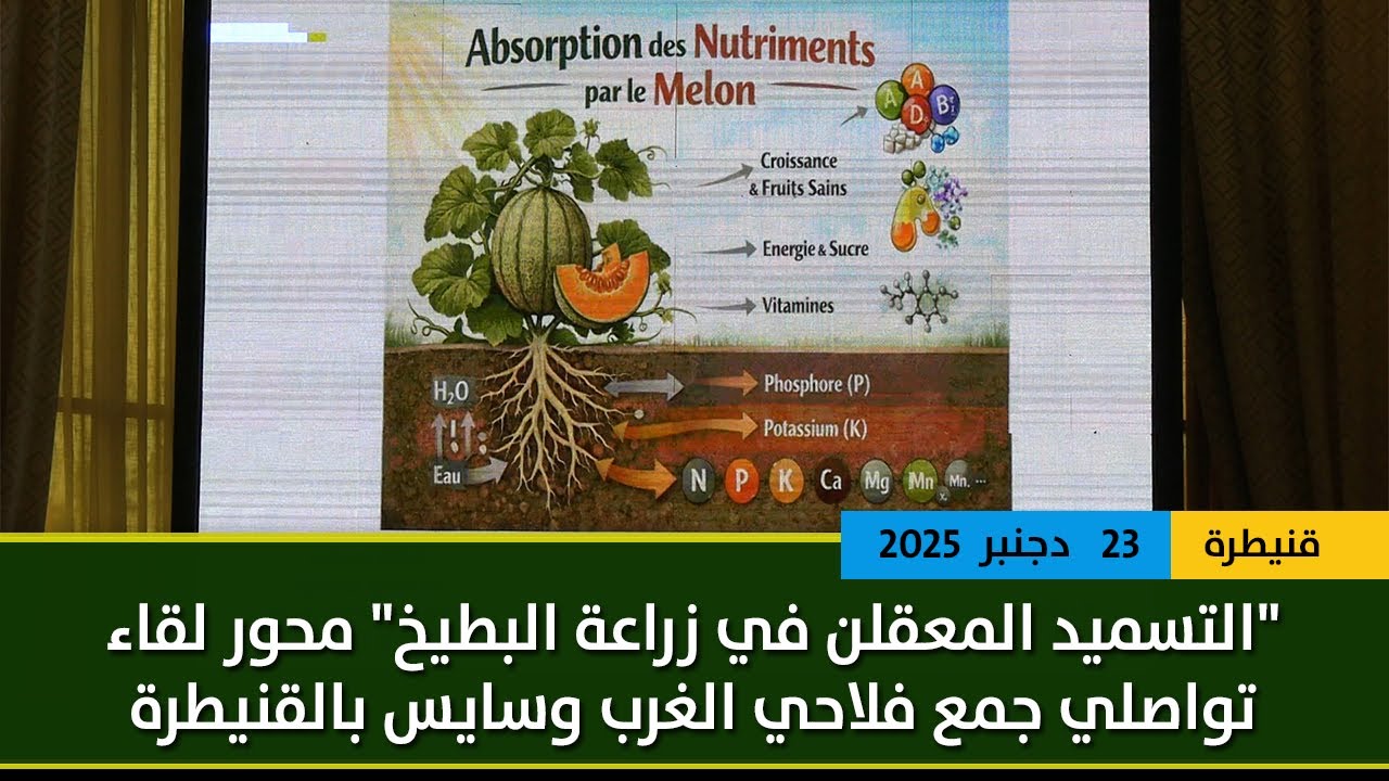 التسميد المعقلن في زراعة البطيخ.. موضوع لقاء تقني تواصلي جمع فلاحي الغرب وسايس بالقنيطرة
