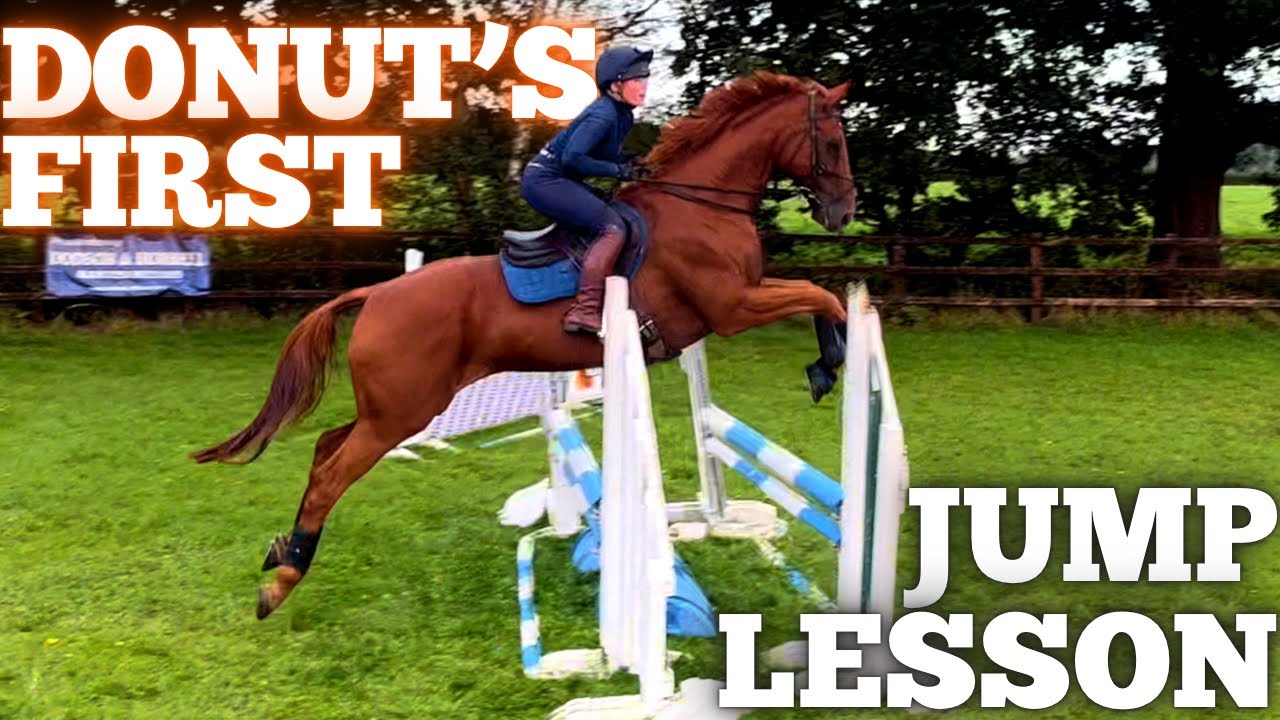 DONUT’S FIRST JUMP LESSON- Jumping a sharp, green horse - Lesson Analysis Vlog