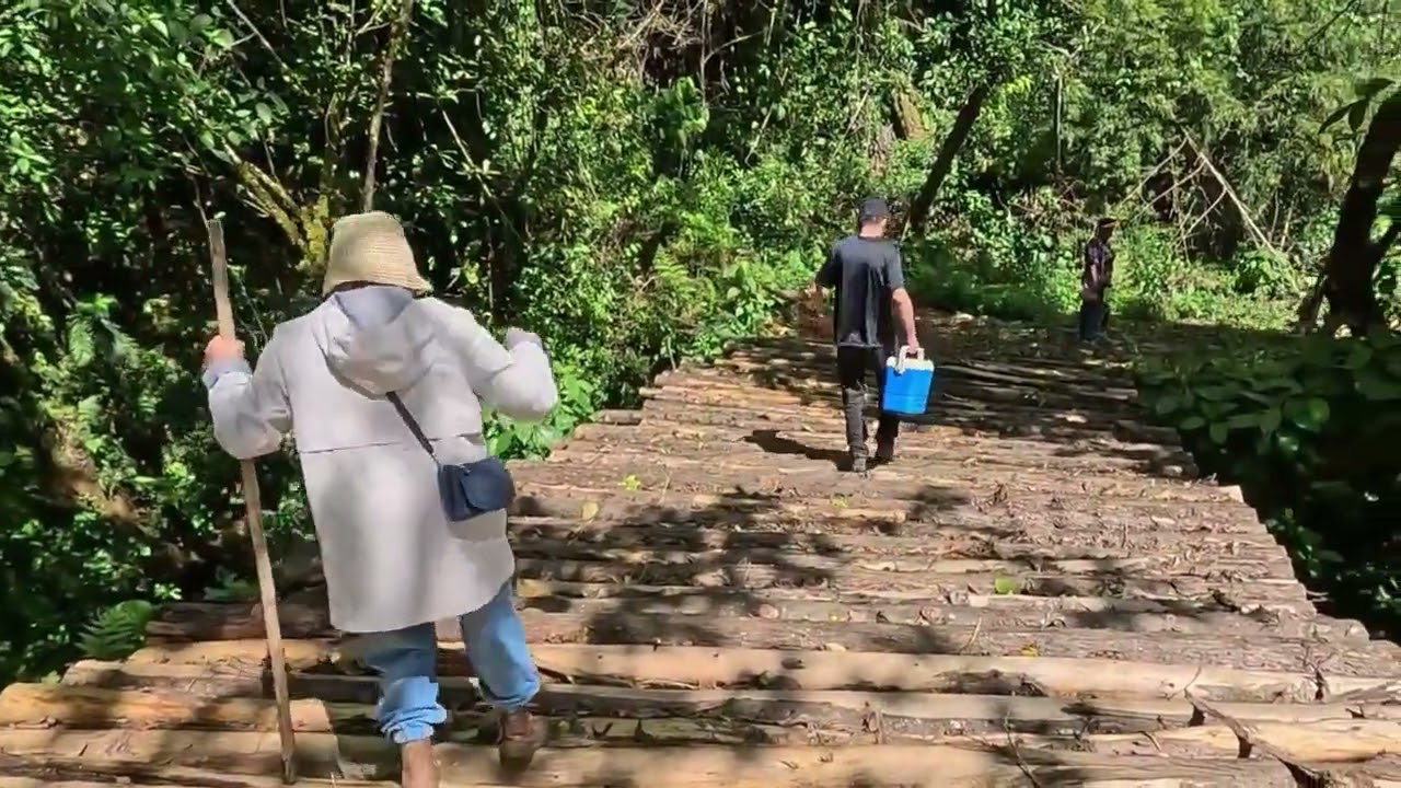 Náyade catarata en San Isidro de Alajuela