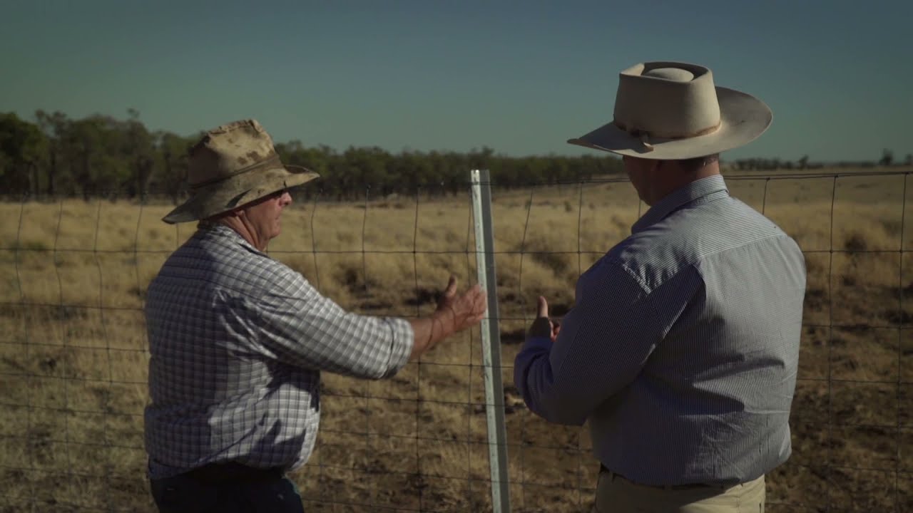 Working together - Waratah fencing & South Tambo QLD cluster fencing group