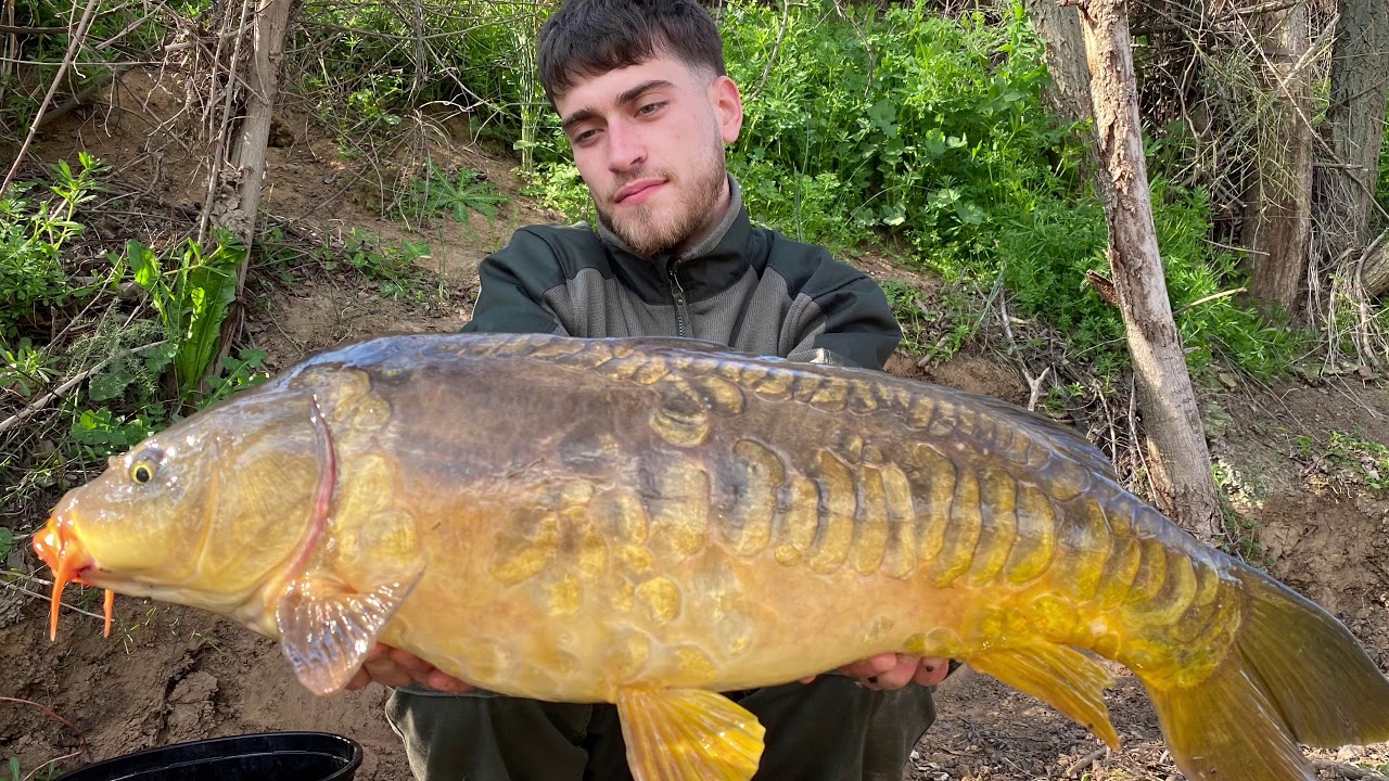 CARPFISHING INVERNAL EN RÍO HENARES 2020