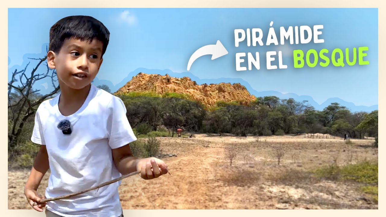 AQUÍ se encontró el TUMI DE ORO y al SEÑOS DE SICÀN 🌳 | Bosque de Pómac