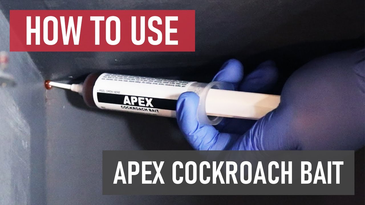 How to Use Apex Cockroach Gel Bait