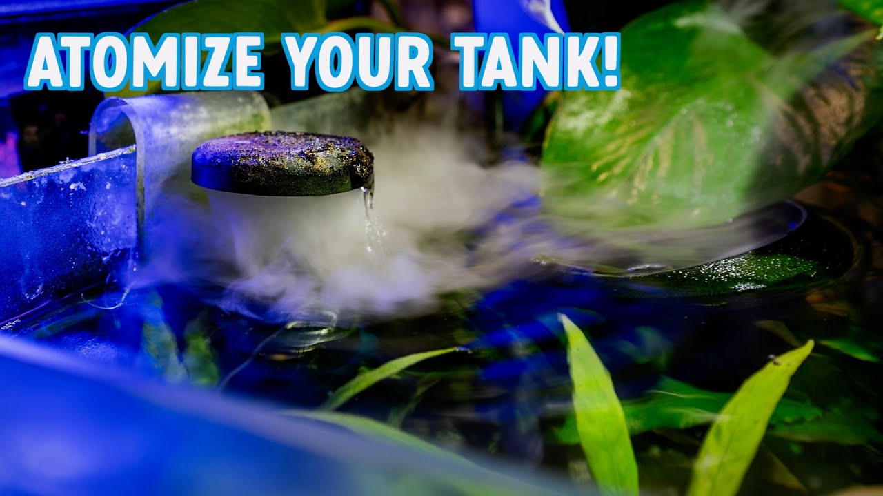HOW TO CREATE A MISTING FOGGER EFFECT IN YOUR AQUARIUM |  UNBOXING ULTUM NATURE SYSTEMS ATOMIZER